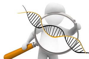 deoxyribonucleic-acid-1500068_640